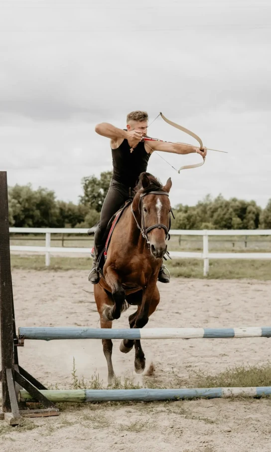 Zakładka dotycząca zajęć z hipoterapi