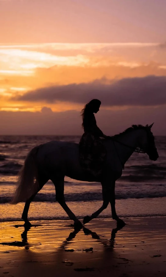 Zakładka dotycząca półkoloni