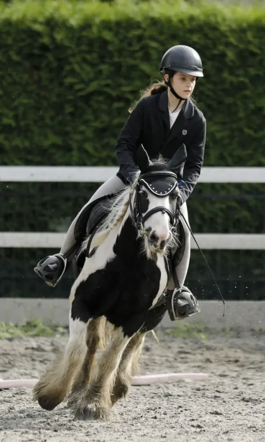 Zakładka dotycząca zajęć z jazdy konnej