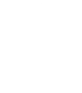 the facebook icon