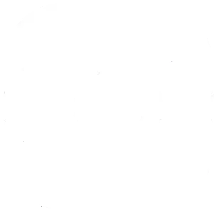 the instagram icon